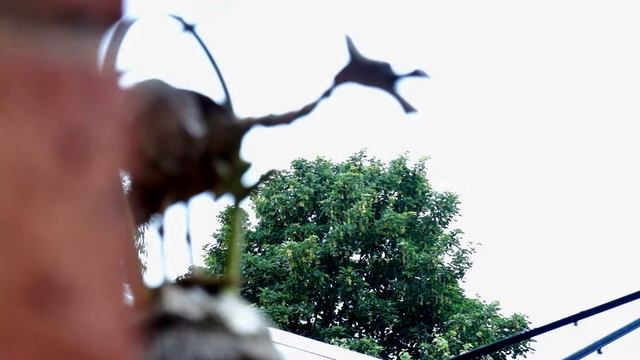 Random Edit sony NEX-F3 смотреть онлайн