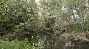 Курганская область Река Ик Июнь 2023