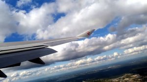 Самолет тигр . Как Настя летела в тигролете / Boeing 747-400 (EI-XLD)
