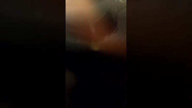 Обзор B&W 702 signature смотреть онлайн