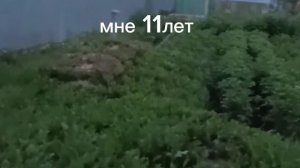 Как менялся мой голос