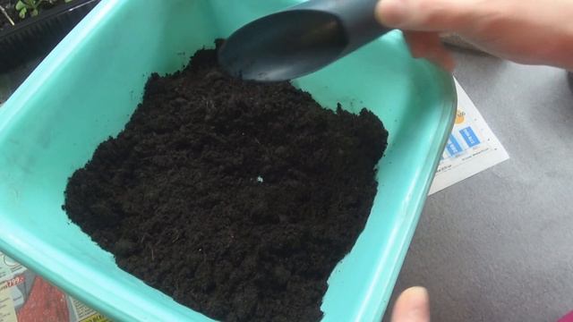 Видео № 1 о петунии. Первая пересадка петунии. Подготовка грунта, нюансы ранней посадки смотреть онлайн