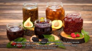 Зачем в варенье добавляют лимонную кислоту — открываем секреты