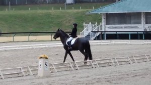 Командный Приз. Дети. Первенство Москвы 27.04.2017г. КСК "Битца". Янтарь.