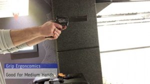 Colt Python 6"