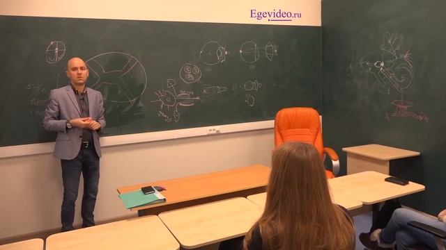 Ганглии и нервные окончания смотреть онлайн