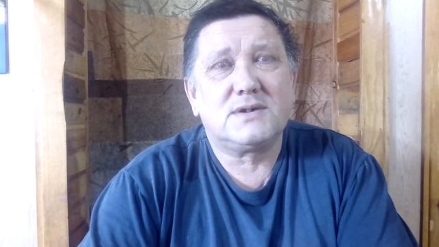 Содержание перепелов все о перепелах. Породы перепелов. Кормление перепелов. Выгодно ли перепела