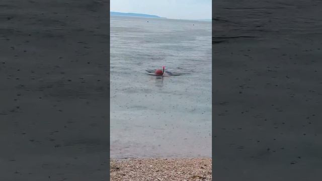 Underwater electric scooter