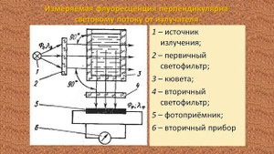 Флуориметры