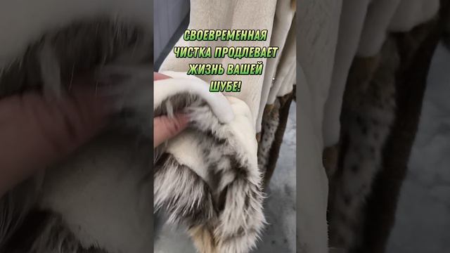 Лучшее что вы можете дать своей шубе это #биочистка