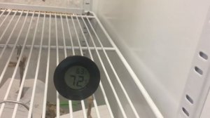 Пармская ветчина 3 часть. Вялим окорок сухой засолки по типу Пармской ветчины.