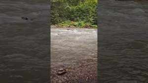 Ингушетия АССА #самая #быстрая река в мире