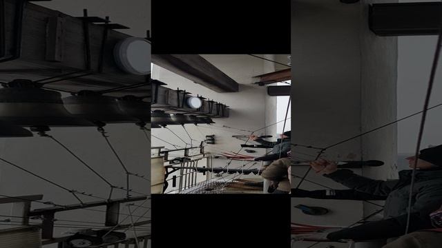 Звонари