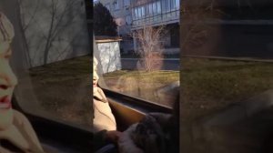 Бабка тралит в трамвае | Краснодар