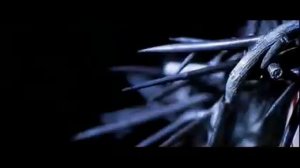 Rammstein Heirate mich