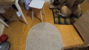 БАРИН УЖИНАЕТ