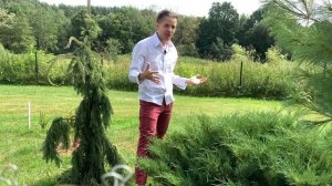 ФИТОВЕРМ от насекомых препарат ЛЕГЕНДА