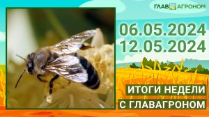 Итоги недели с ГлавАгроном. 06.05.2024 - 12.05.2024