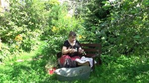 Чай долгожителей! Бабушкин рецепт. Душица, орегано. Лечебные свойства душицы, сбор, заготовка душиц