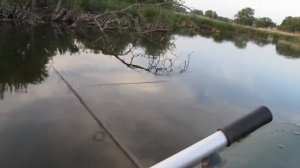 Рыбалка. Щука и Окунь после нереста  Fishing for pike