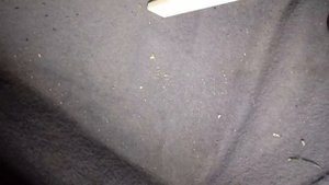 ДАЧНЫЙ ОБЗОР.  Советский пылесос "Вихрь". 1974 г.