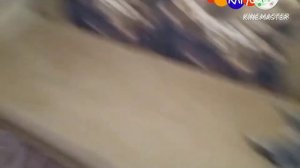 Карусель анонс Алиса И Данила И рекламный Блок (2015-17) год.