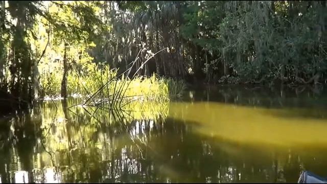 Abby's Adventures смотреть онлайн