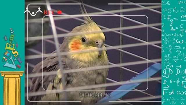 АЗН. Физика. Аэродинамика. Как и почему мы можем летать