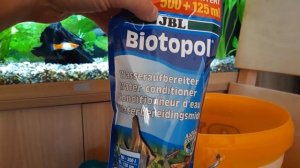 УЖАС! Аквариумная лягушка съела всех мальков анцитруса