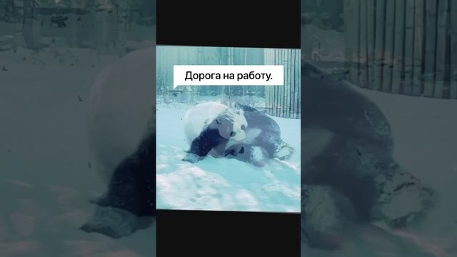 Полстава - подстав?