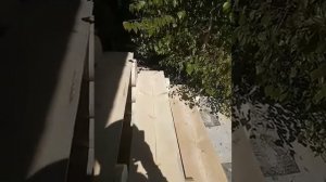 Крыльцо. Лестница в дом из бревна