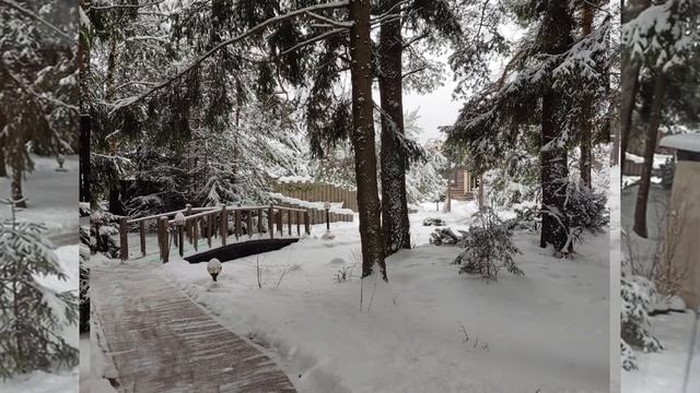 Обворожительная красота зимней природы.  Зима.  Снег.