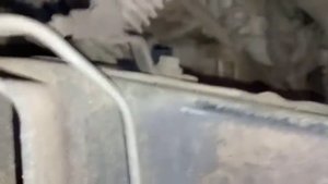 2007 Toyota tacoma Chassis and engine (2TR) number location