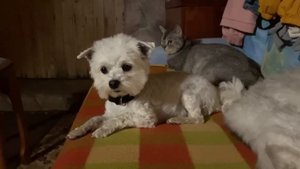 БАБКА ГРЕННИ В РЕАЛЬНОЙ ЖИЗНИ В НАШЕМ ПОДВАЛЕ НОЧЬЮ