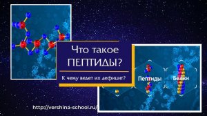 ПЕПТИДЫ- что это такое в жизни человека?