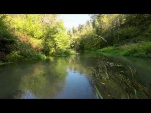 Сплав на байдарке по реке Киржач