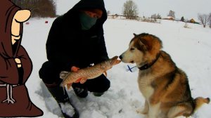 Весенняя рыбалка на щуку с жерлицами. Ловля щуки на реке в Марте