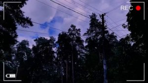 Сняли РЕАЛЬНОГО СИРЕНОГОЛОВОГО на камеру! / СТРИМ / переписка Димы