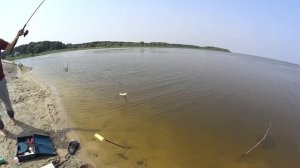 Фидерная рыбалка на водохранилище Селец.