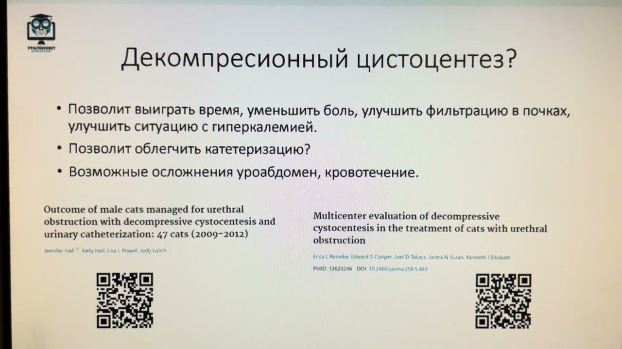 Ветврачи друг против друга.