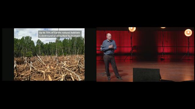 The biodiversity crisis with Carsten Rahbek смотреть онлайн