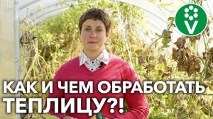 ДЕЗИНФЕКЦИЯ ТЕПЛИЦЫ ОСЕНЬЮ! Как подготовить к зиме и восстановить плодородие?