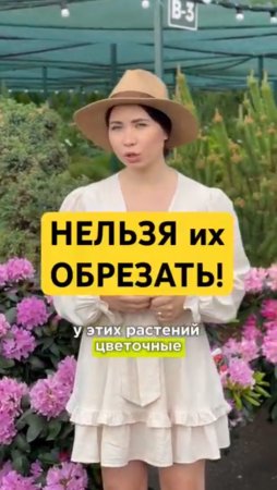 Вы обрезаете НЕПРАВИЛЬНО!