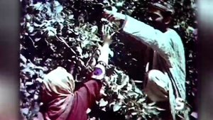 Бунафша Шокирова биё ба ман ёри кун