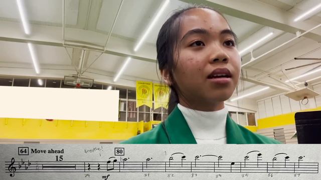 How to Train Your Dragon but the dragon died - flute perspective смотреть онлайн