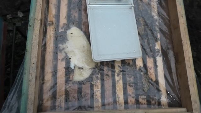 КАС 81 В РАБОТЕ. ЛЕЧЮ СЕМЬЮ С БОЛЬШИМ ПОДМОРОМ. смотреть онлайн