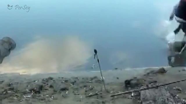 Приколы на рыбалке
