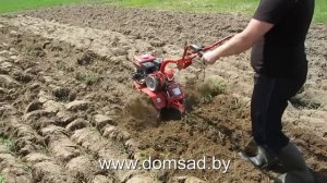 Культивируем мотоблоком "Салют5-Л6.5" ("Агат-Л6.5") после вспашки.