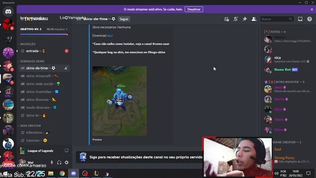 Como Usar Custom Skin no LoL | Skins de Time e Muito Mais смотреть онлайн