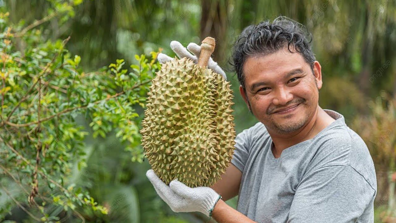 Загадочный фрукт дуриан: от обожания до отвращения смотреть онлайн